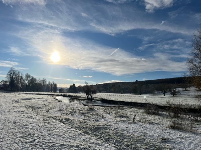Frosty park