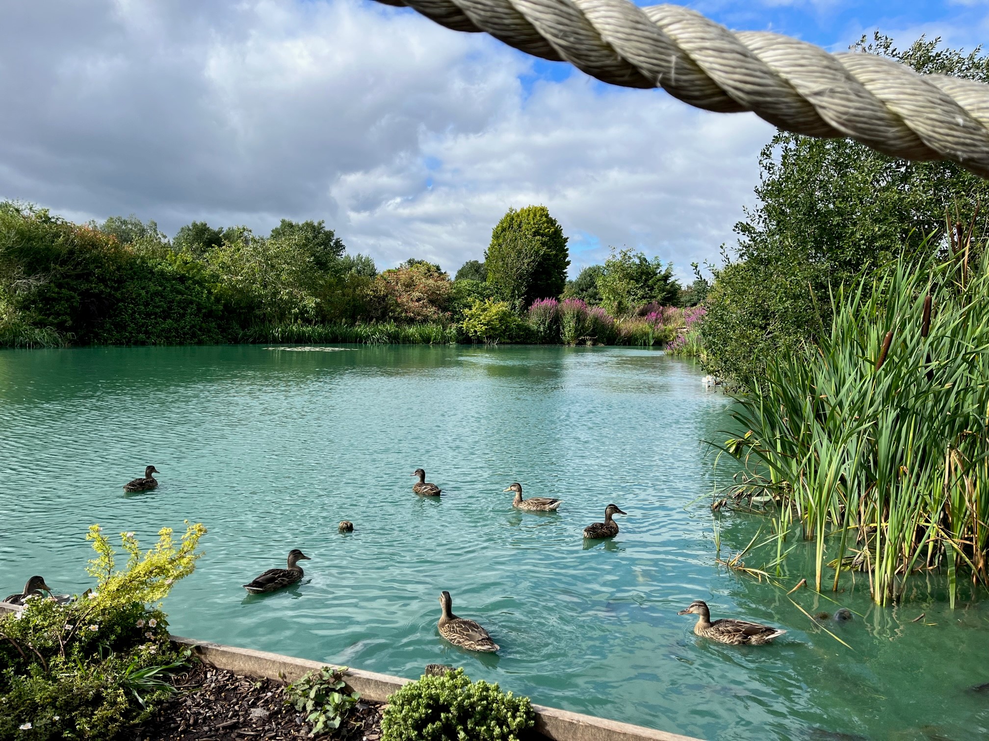 Partridge Lakes