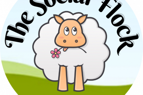 The Social Flock by the Social Media Executive