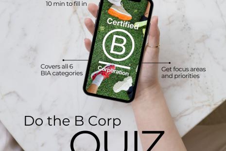 B Corp Quiz Rodica
